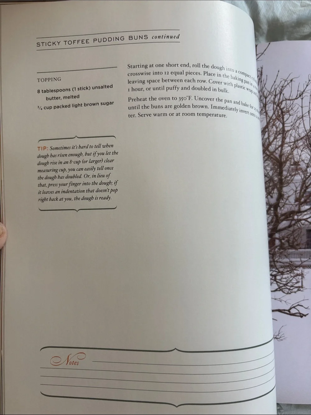 Rodale beekman heirloom